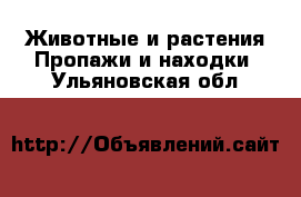 Животные и растения Пропажи и находки. Ульяновская обл.